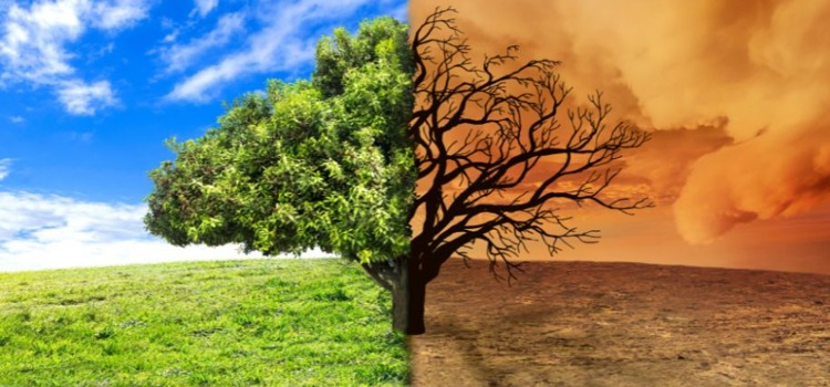 Climate Change Congerence - Gravesham Youth Symposium