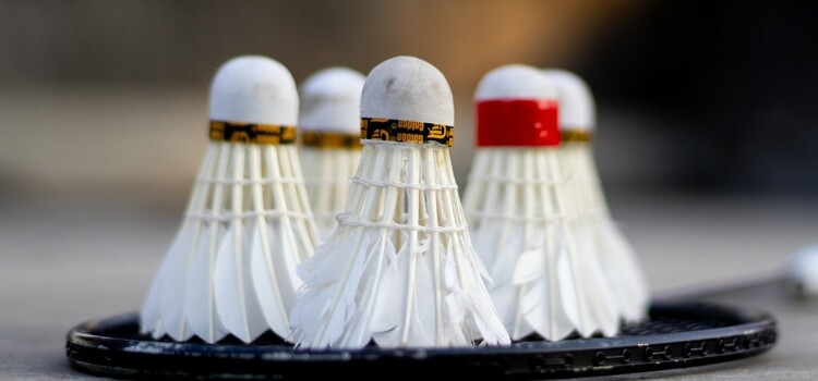 Badminton - Kent finals