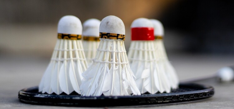 Badminton - Term 2 update