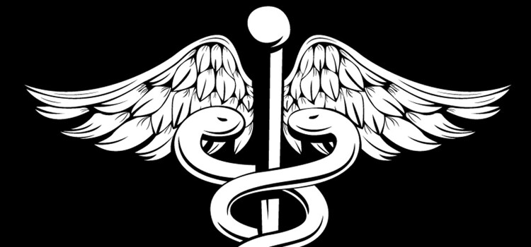 Medical Society - Term 4