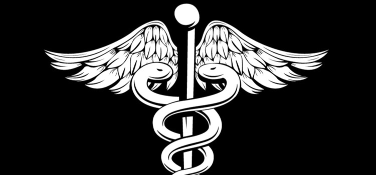 Medical Society - Term 6 Update