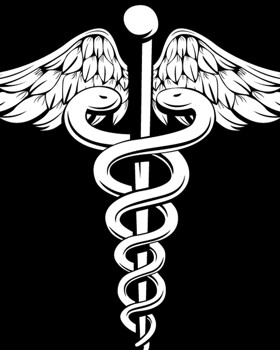 Medical Society - Term 4