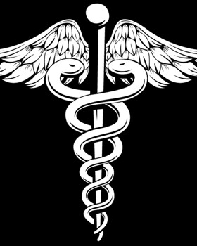 Medical Society - Term 6 Update