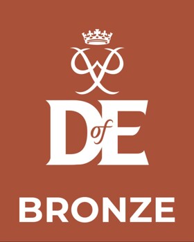 Bronze D of E - Term 2 update
