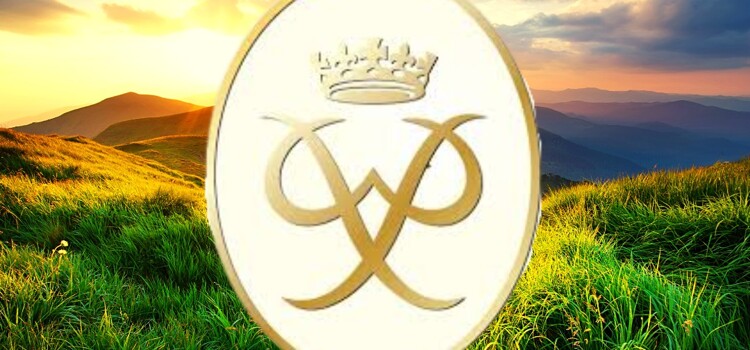 Gold DofE - Term 4 Update