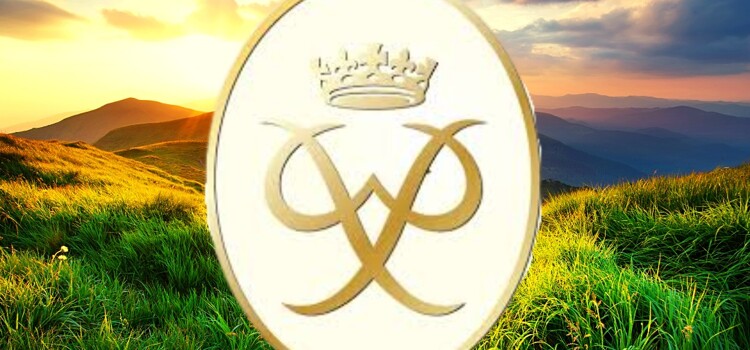Gold DofE - Term 4 Update