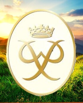 Gold DofE - Term 4 Update